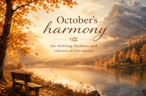 October’s harmony – the shifting rhythms and colours of the nature
